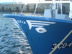 RIMG0019.JPG