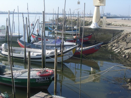 2 JOUR AVEIRO 005.JPG
