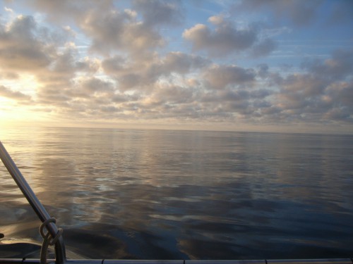 RIMG0099.JPG
