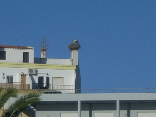 RIMG0139.JPG