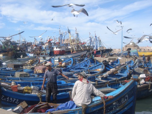 1 JOUR A ESSAOUIRA 119.JPG