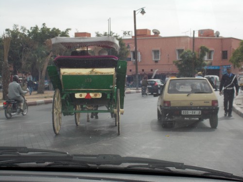 Atlas Marocain 130.JPG