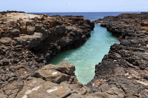 Piscine naturelle.jpg