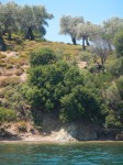 06-2012 VOLO-SKOPELOS 016.JPG