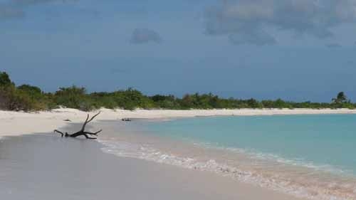 plage barbuda.jpg