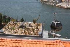 IMG_2856.JPG
