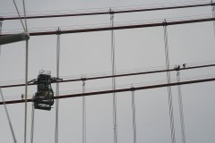 IMG_3305.JPG
