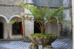 IMG_3724.JPG