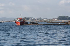 IMG_2138.JPG