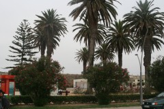 IMG_3211.JPG