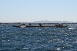 IMG_2082.JPG