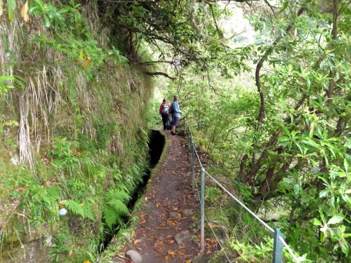 06 levada do Caldeirao Verde.jpg