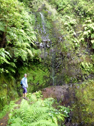 07 levada do Caldeirao Verde.jpg