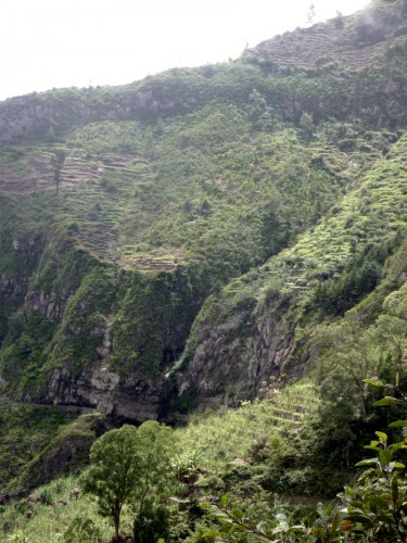 P1010565.JPG