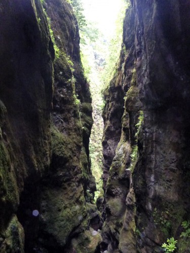 19 1 levada do pico ruivo.jpg