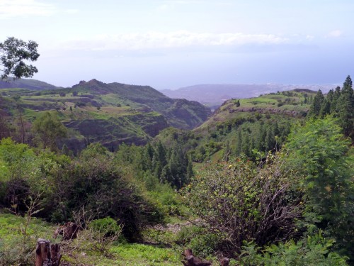 P1010529.JPG