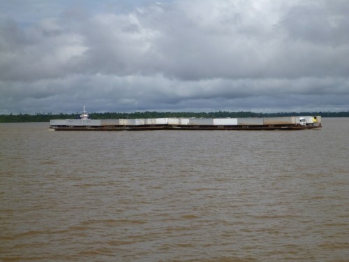P1030200.JPG