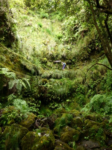 30 levada do Caldeirao Verde.jpg