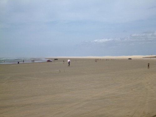P1020735.JPG