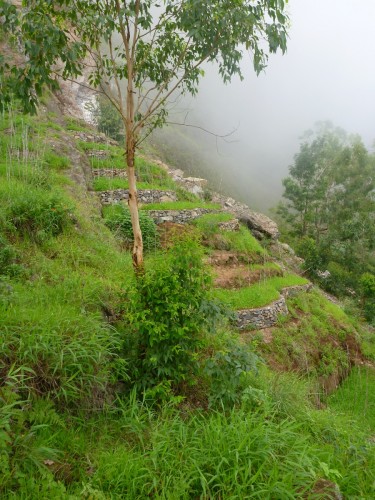 P1010555.JPG