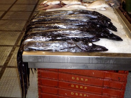 poisson sabre noir.jpg