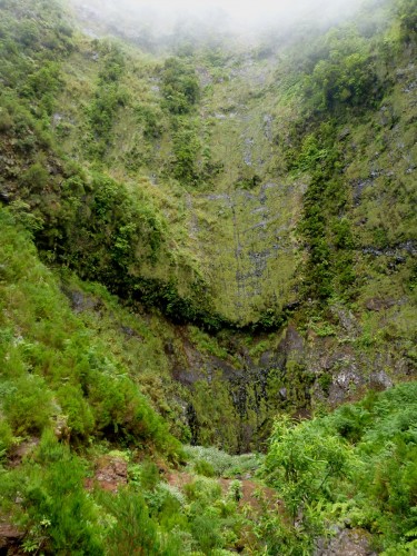 22 levada do pico ruivo.jpg