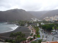 canaries 011.JPG