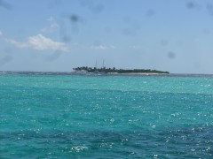 grenadines 053.JPG