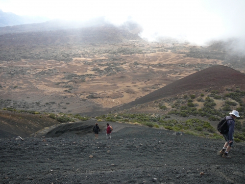 Teide descente lave.JPG