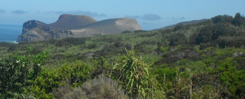 2014-05-31 11h19 phare en terre Faial.JPG