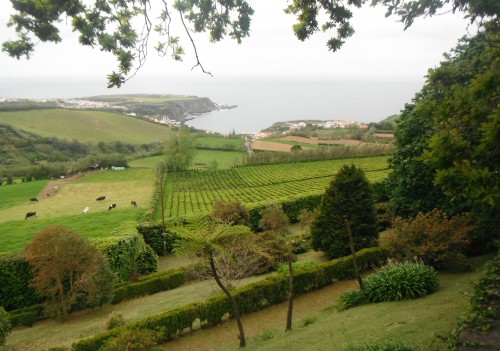 2014-05-17 16h28 vue sur Porto Formoso depuis la plantation de thé de Gorreana côte Nord Sao Miguel Açores.JPG