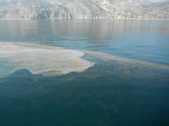 6-6-12 16h55 pollution au large de Malaga.JPG