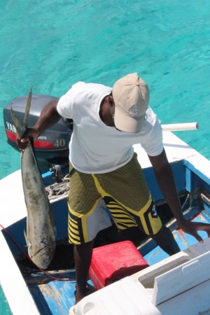 antilles,grenadines,tobago cays