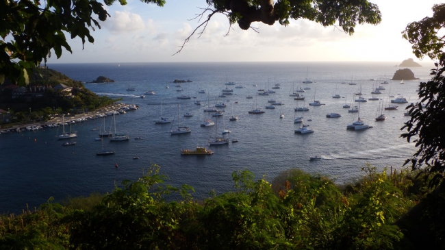 stbarth,stkitts