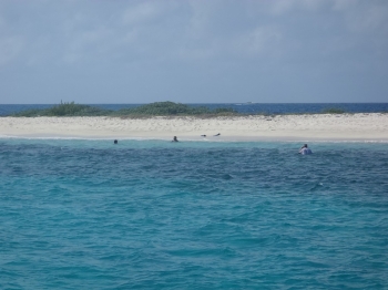 antilles,grenadines,tobago cays