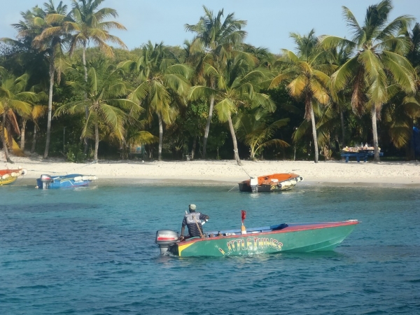 antilles,grenadines,tobago cays