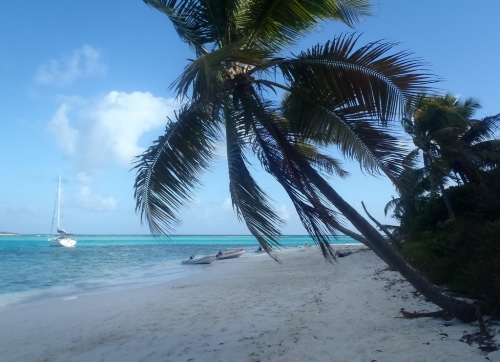 antilles,grenadines,tobago cays