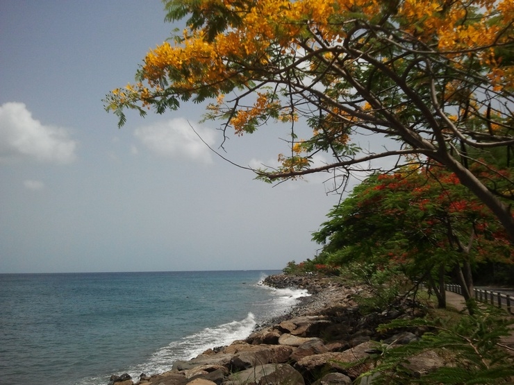 antilles,catamaran