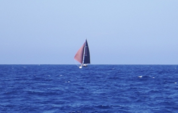 0714Transatc102.jpg