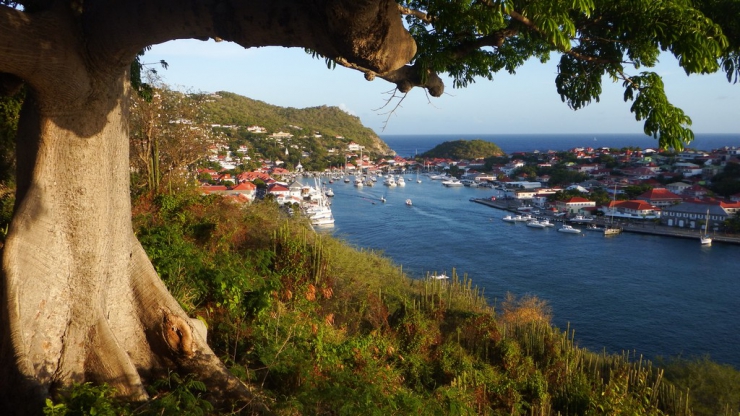 stbarth,stkitts