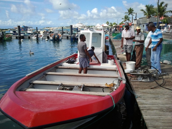 antilles,guadeloupe,catamaran