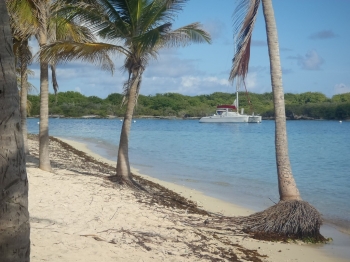 antilles,guadeloupe,catamaran