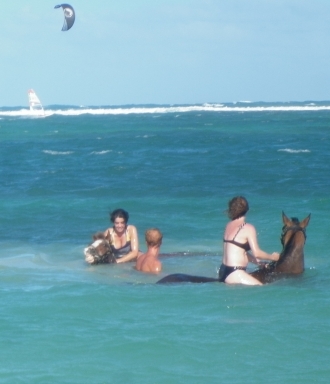 antilles,catamaran