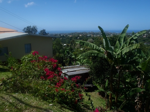 antilles,grenade