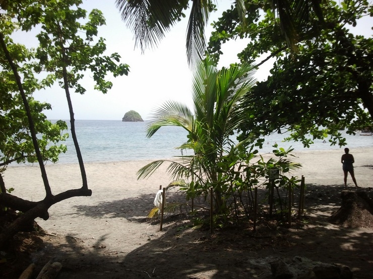 antilles,catamaran