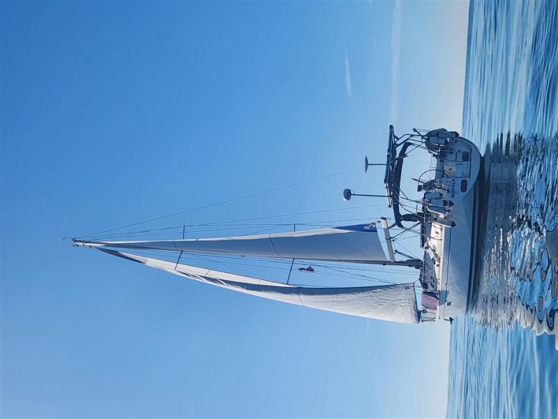 Gibsea 41